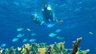 Snorkeling in the Cabos 